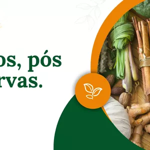 Imagem de capa para o Ebook Apostila de Ervas, óleos e pós mágicos.