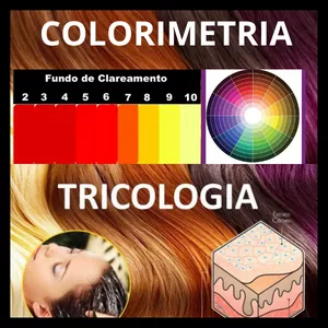 Imagem principal do produto Ebook Colorimetria Descomplicada + Tricologia Capilar