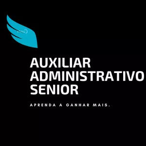 Imagem principal do produto Auxiliar administrativo Senior - Suba de cargo e tenha o diferencial