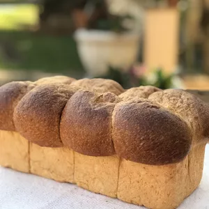 Curso Curso de Brioche - Amo Pani