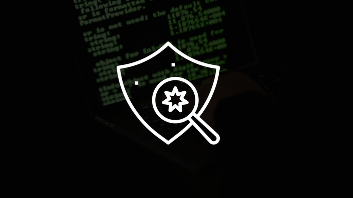 Information Gathering & Vulnerability Analysis
