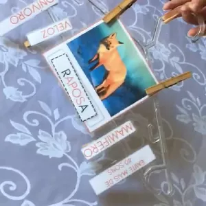 Imagem de capa para o Curso online Animais - Recurso Didático