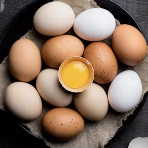 Imagem de capa para o Curso online Ovos