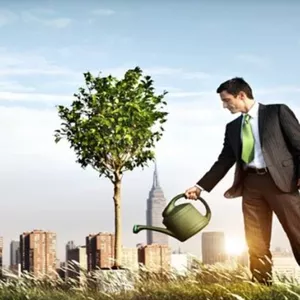 Imagem de capa para o Serviço online Consultoria Financeira Empresarial