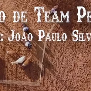Imagem de capa para o Curso online Curso de Team Penning, com João Paulo Caixeta
