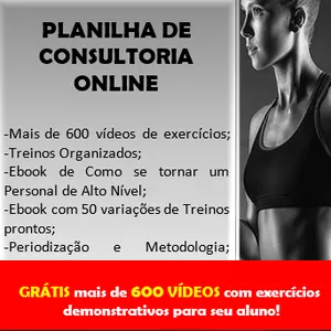 Imagem de capa para o Ebook Planilha de Consultoria Online