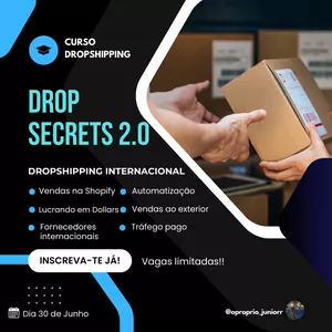 Imagem de capa para o Curso online Dropshipping internacional 
