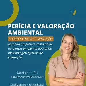 Imagem de capa para o Curso online Perícia e Valoração Ambiental - 8H