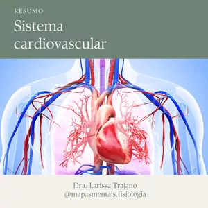 Imagem de capa para o Ebook Resumo: sistema cardiovascular