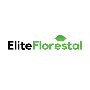 Elite Florestal - Concursos Públicos