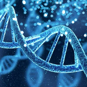 Imagen de portada para Curso online Curso de Reprogramación