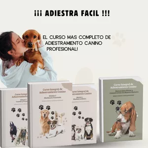 Imagen de portada para Ebook ADIESTRA FACIL