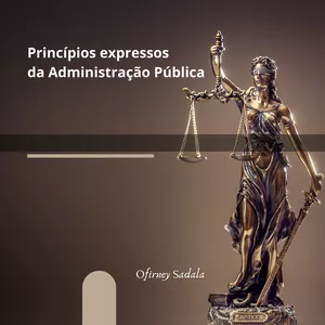 Imagem de CURSO LIVRE - PRINCÍPIOS DA ADMINISTRAÇÃO criado por ofirney da conceição sadala na hotmart