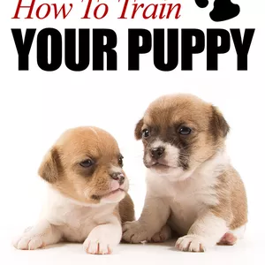 Cover image for Ebook THE WELL-BEHAVED PUPPY MANUAL: Gentle &amp; Fast Training to Solve Pee Accidents, Biting, and Barking (Beginner's Guide)