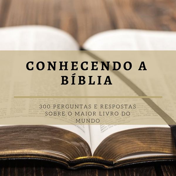 300 perguntas e respostas da Bíblia - Kim Marques - learn ...