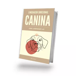 Imagem de capa para o Ebook Linguagem Emocional Canina