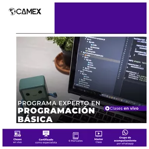 Imagen de portada para Curso online Programa Experto en Programación Básica - Virtual