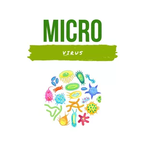 Imagen de portada para Ebook MICROBIOLOGÍA: VÍRUS (gratis apunte patologia)
