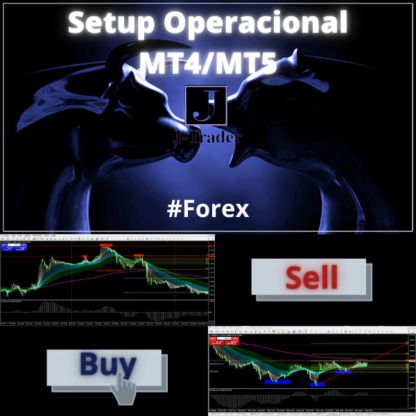 Imagem do curso Setup operacional MT4/MT5 para operar qualquer ativo com liquidez no mercado financeiro!