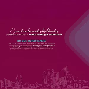 Imagem de capa para o Evento presencial RECONNECT 2025