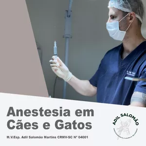 Imagem de capa para o Curso online Anestesia em Cães e Gatos