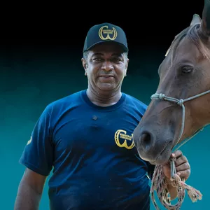 Imagem de capa para o Curso online Casqueamento e Ferrageamento