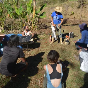 Imagem do curso Manuntenção e Operação de Máquinas para agrofloresteiros: motosserras, roçadeiras costais, tratores, ferramentas manuais. 