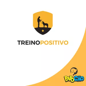Imagem de capa para o Curso online Treino Positivo 2.0
