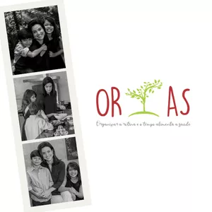 Imagem de capa para o Curso online Programa ORTAS 