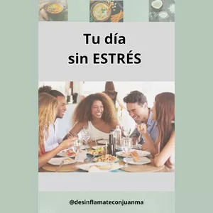 Imagen de portada para Ebook Plantilla Tu Día Sin Estrés 