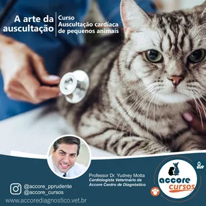 Imagem do curso Curso: Auscultação cardíaca em pequenos animais - A arte da auscultação!