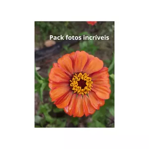 Imagem de capa para o Curso online Pack fotos incríveis