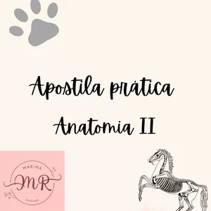 Imagem de capa para o Ebook Apostila prática anatomia veterinária II 