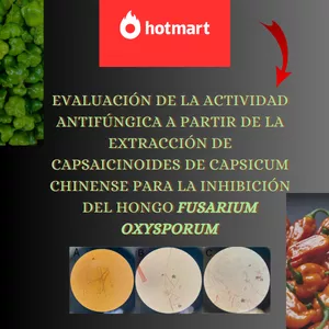 Imagen de portada para Ebook Evaluación de la actividad antifúngica a partir de la extracción de capsaicinoides de Capsicum Chinense para la inhibición del hongo Fusarium oxysporum