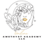 Online Amethyst Academy LLC