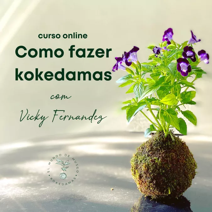 Curso Como Fazer Kokedamas