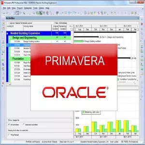 Primavera P6 Essencial - Com técnicas de Gerenciamento de Projetos