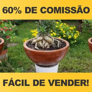 Imagem de capa para o Ebook Método Como Fazer Bacias Para Rosas Do Deserto