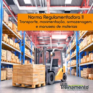 Imagem de capa para o Curso online TREINAMENTO NR-11: TRANSPORTE, MOVIMENTAÇÃO, ARMAZENAGEM E MANUSEIO DE MATERIAIS