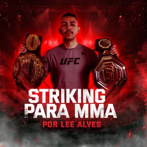 Imagem de capa para o Curso online Striking para mma