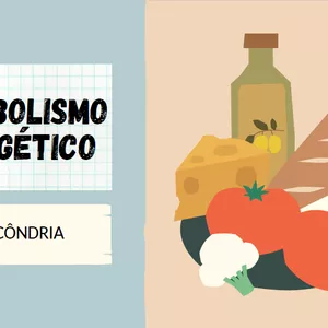 Imagem de capa para o Ebook Metabolismo energético