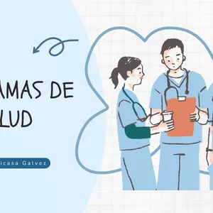 Imagen de portada para Ebook PROGRAMAS DE SALUD EN EL PERU