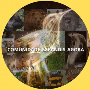 Imagem de capa para o Curso online Treinamento Acordando seu mestre interior