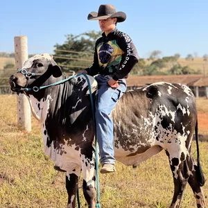 Imagem de capa para o Curso online Domador de sucesso 