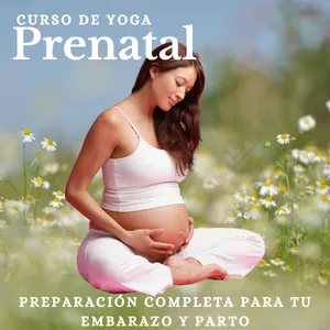 Imagen de portada para Curso online Curso de yoga para mujeres embarazadas