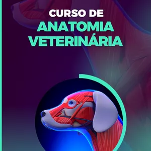 Imagem de capa para o Curso online Cimas - Anatomia Veterinária