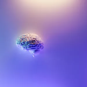 Imagem do curso Aprenda a Potencializar seu Cérebro para o Sucesso