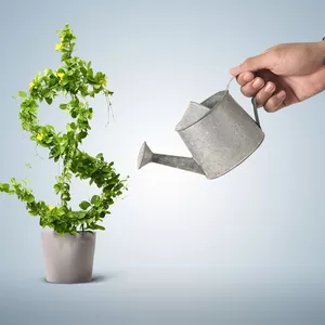 Imagem de capa para o Ebook Dicas básicas para as tuas contas pessoais