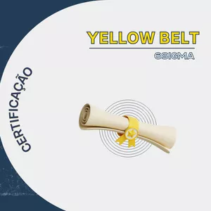 Imagem de capa para o Curso online Programa Yellow Belt 6SIGMA