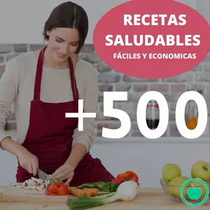 Imagen de portada para Ebook 500 Recetas Saludables + Curso de regalo